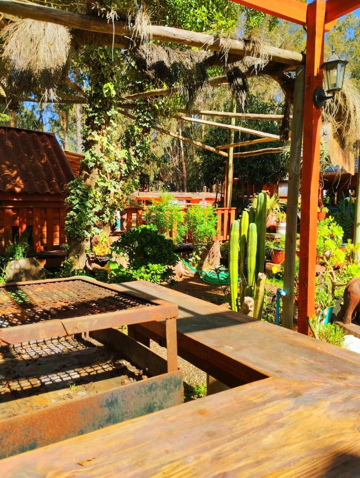 Alojamento Pinares Del Mar Pequenas Ecorusticas Sello 
