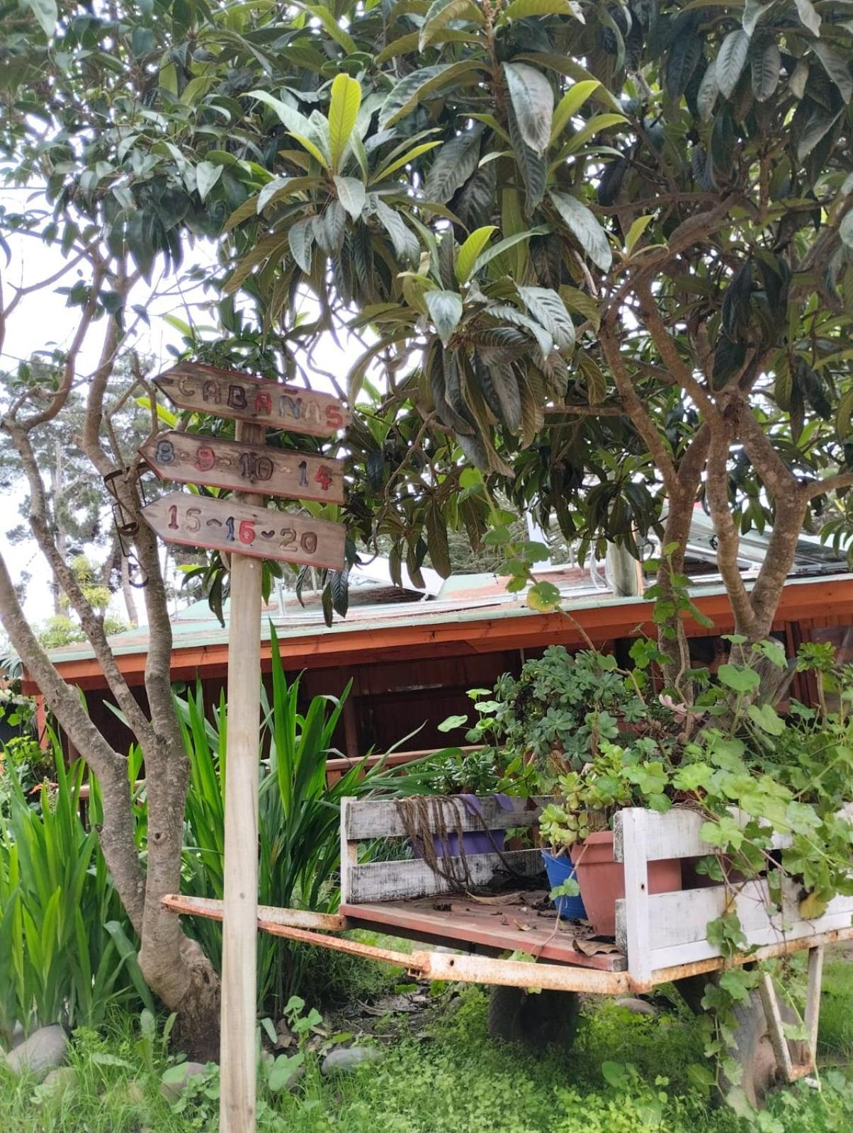 Pinares Del Mar Pequenas Ecorusticas Sello 